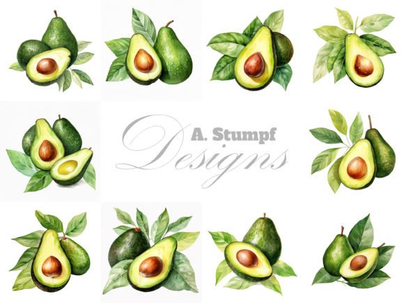 Download Avocado Watercolor Fruit Clipart Set - Avocado Collection