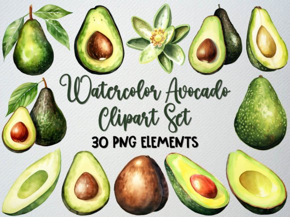 Download Watercolor Avocado Clipart Set, 30 PNG - Avocado Collection
